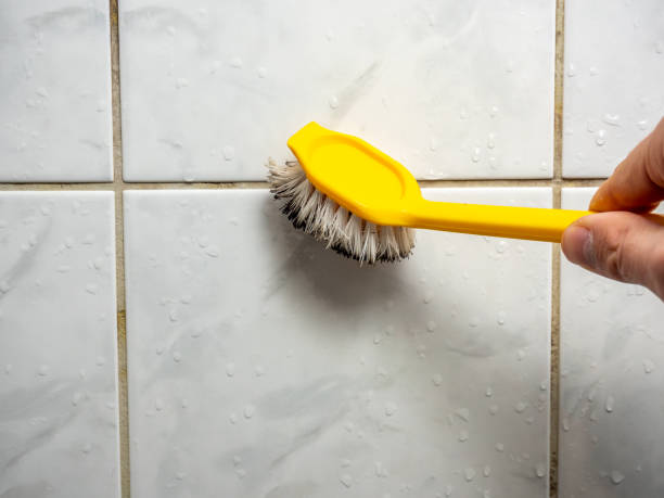 Best Mold Testing  in Jenison, MI